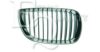 EQUAL QUALITY G0145 Radiator Grille